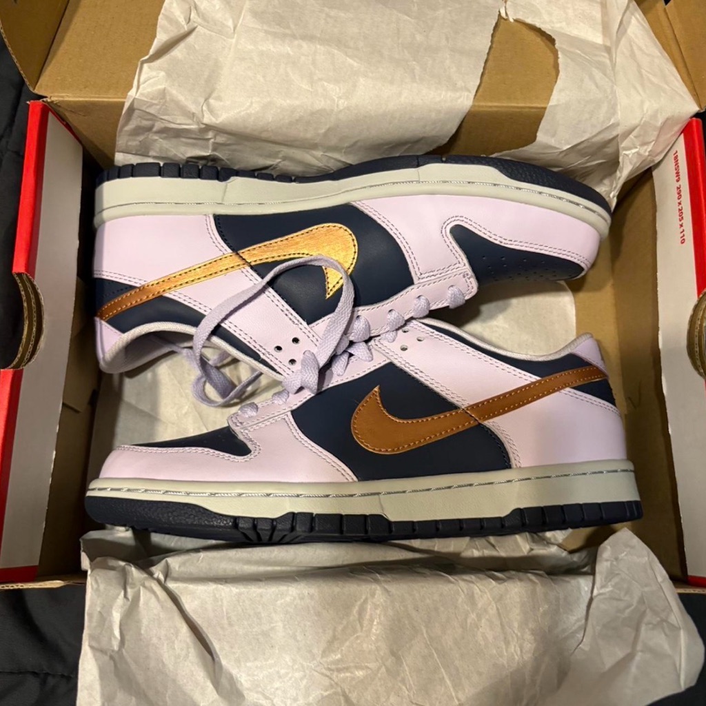 Nike Sneakers With Bronze And Dark Blue Highlights